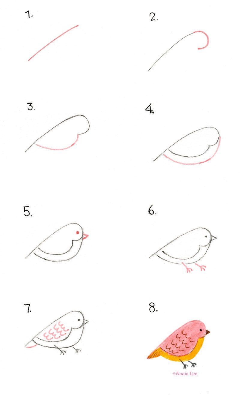 800x1320 How To Draw A Bird - Bird Drawing Easy