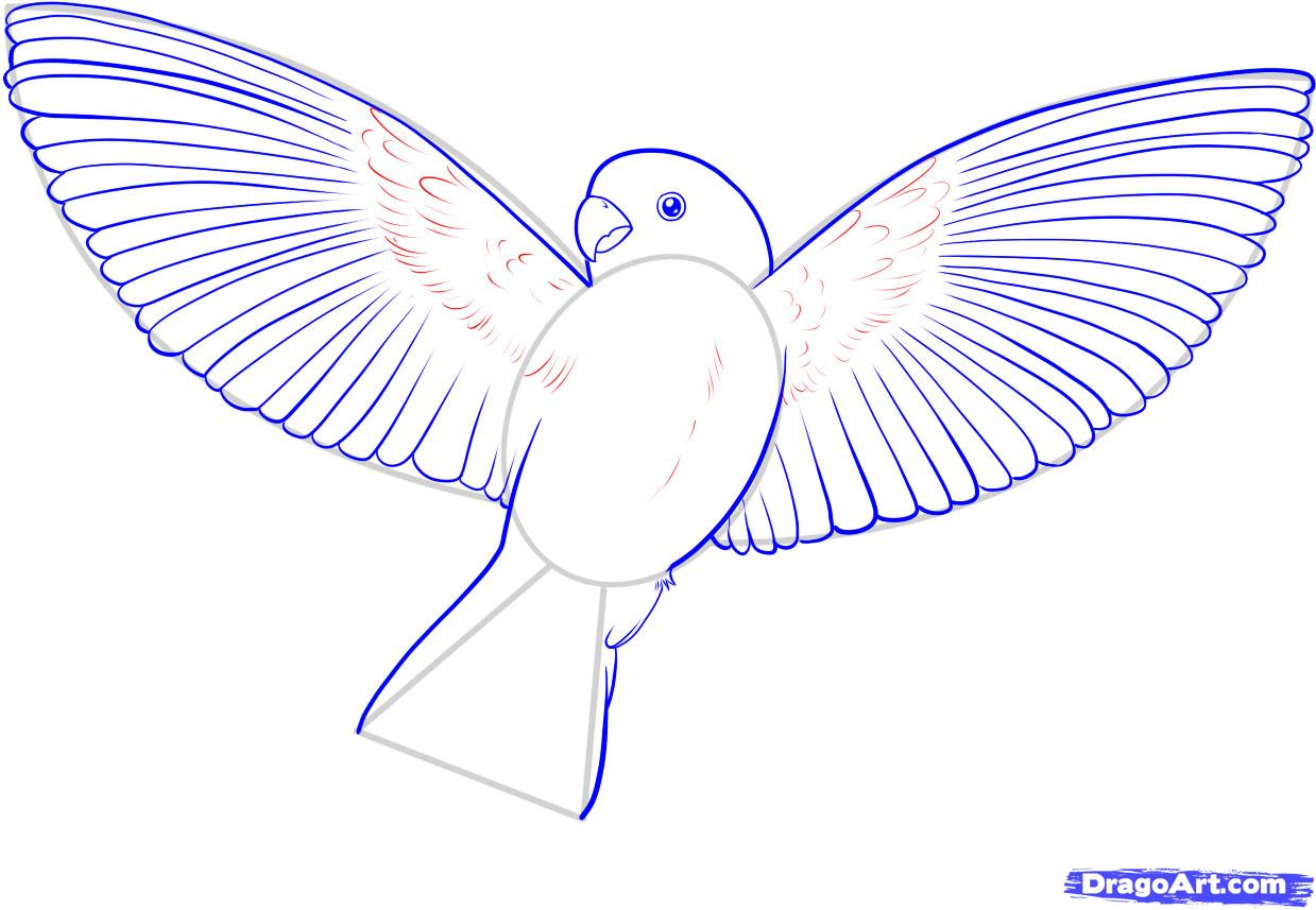 1239x857 How To Draw A Flying Bird, How To Draw A Bird, Step - Bird Drawing Easy