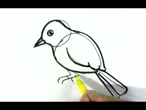 480x360 How To Draw Easy Bird Easy Steps For Children Beginners - Bird Drawing Easy