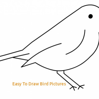320x320 Easy To Draw Bird Pictures Simple Drawings Tweety Bird How To Draw - Bird Drawing Easy