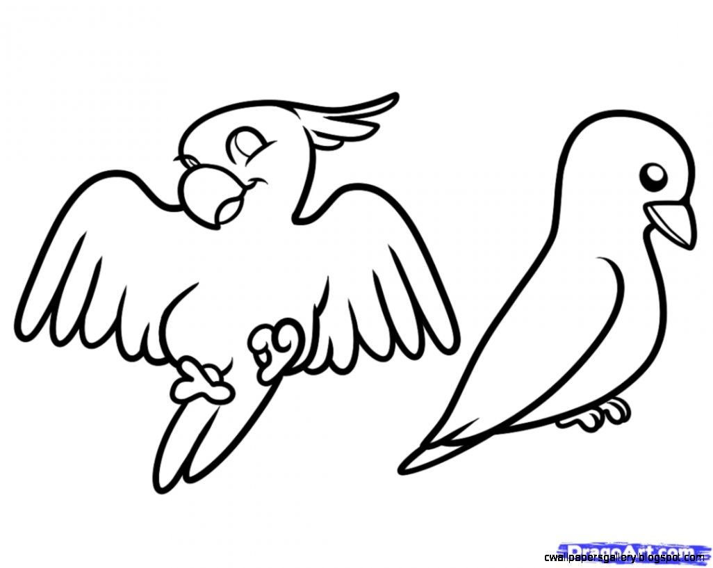 Featured image of post Pencil Easy Bird Drawing For Kids / Bird craft ideas for kids: