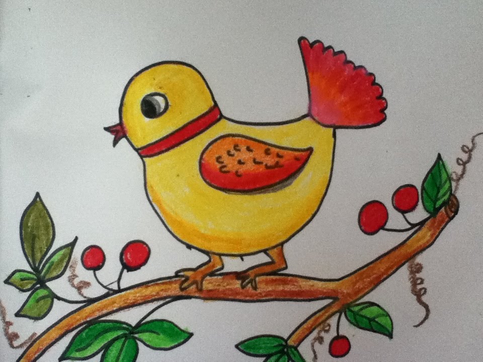 960x720 Bird Drawing For Kids - Bird Drawing For Kids