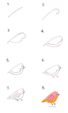 236x389 Best Drawing Birds Images In Animal Drawings, Doodles - Bird Drawing Step By Step