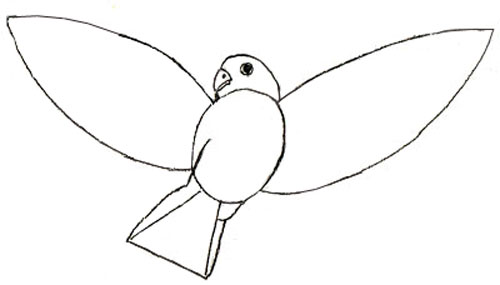 500x285 How To Draw A Bird - Bird Drawing Step By Step