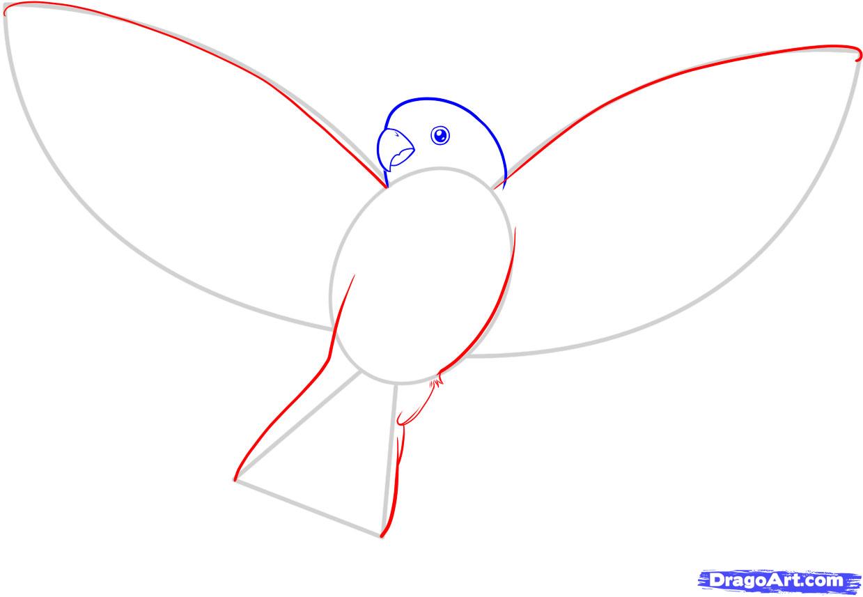 Bird Drawing Step By Step at Explore collection of