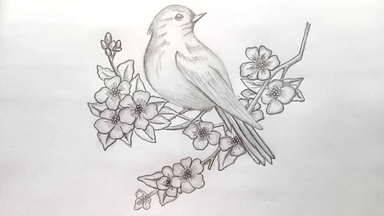 1280x720 How To Draw A Bird With Pencil Sketch Step - Bird Drawing Step By Step