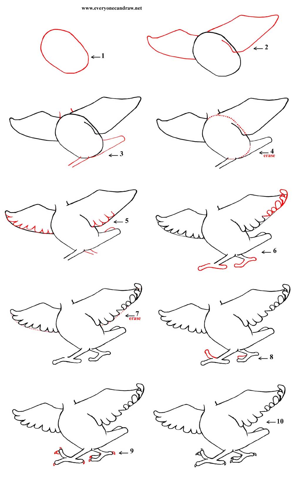 20+ New For Flying Bird Drawing Easy Step By Step | Inter Venus
