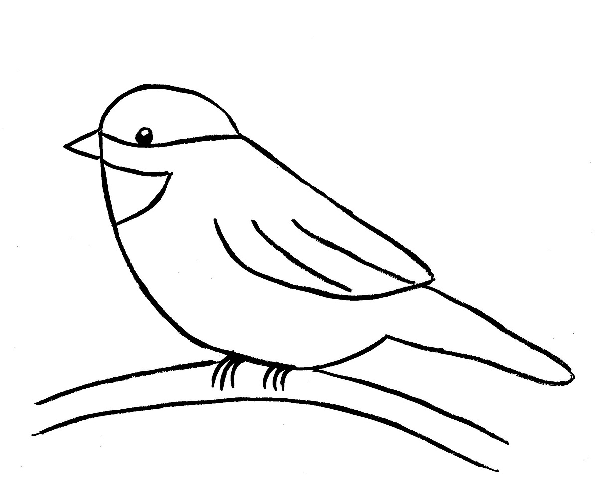 1211x1002 Chickadee Drawing Step - Bird Drawing Step By Step