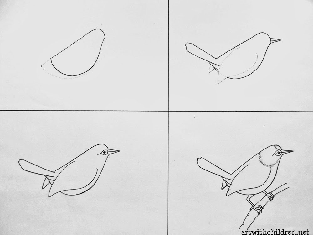 1000x750 Drawing A Common Tailor Bird - Bird Drawing Step By Step