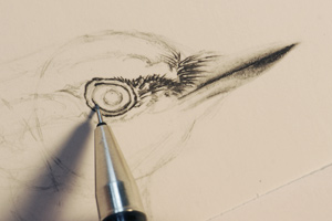 300x200 Drawing Demonstration A Bird's Eye - Bird Eye Drawing