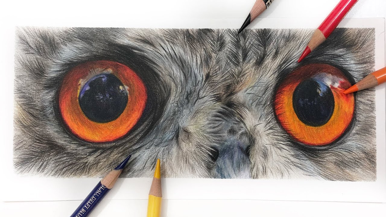 1280x720 How To Draw Owl Eyes Colored Pencil Tutorial - Bird Eye Drawing