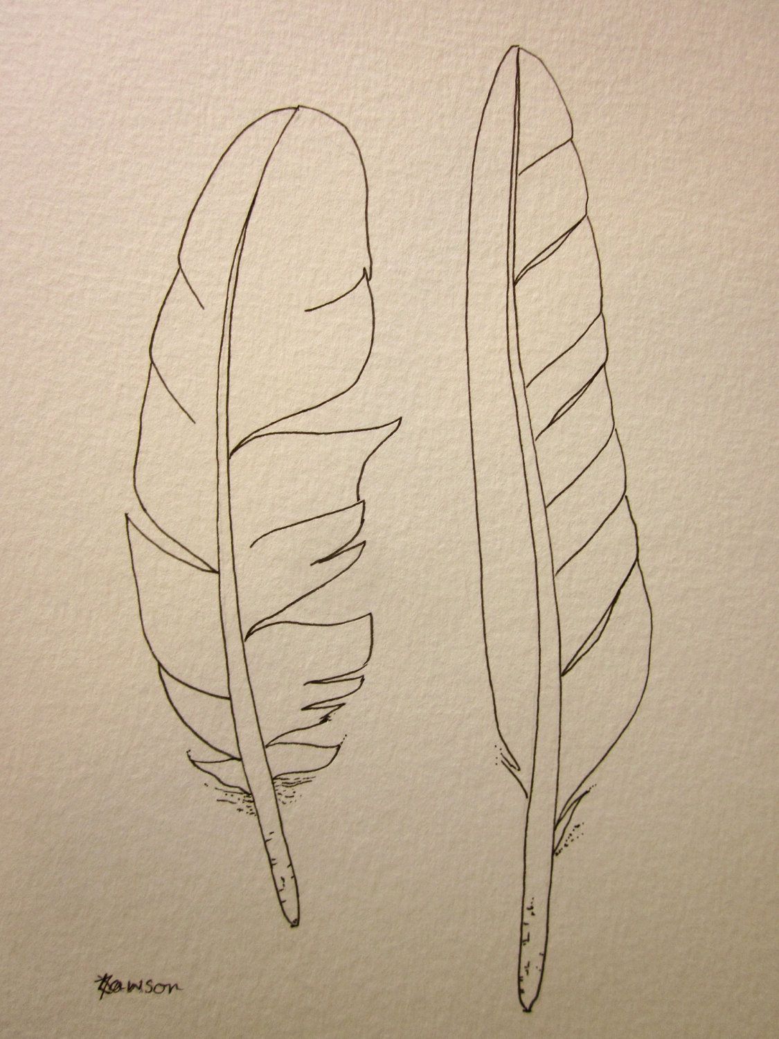 1125x1500 Original Ink Feather Drawing Sea Bird Feathers For The Love - Bird Feather Drawing
