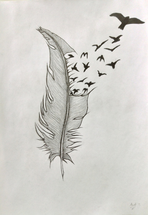 500x725 Some Birds Flying From A Feather On We Heart It - Bird Feather Drawing