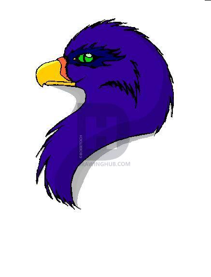 437x573 How To Draw A Bird Head, Step - Bird Head Drawing