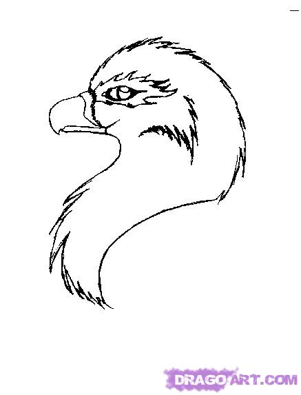 437x573 How To Draw A Bird Head, Step - Bird Head Drawing