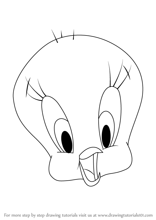 598x844 Learn How To Draw Tweety Bird Face - Bird Head Drawing