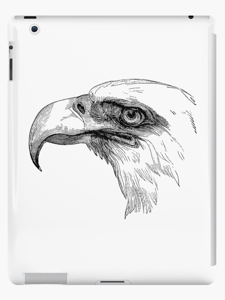 750x1000 Vintage Bald Eagle Bird Head Illustration Retro Black - Bird Head Drawing