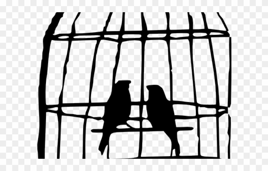 Bird In A Cage Drawing at Explore collection of
