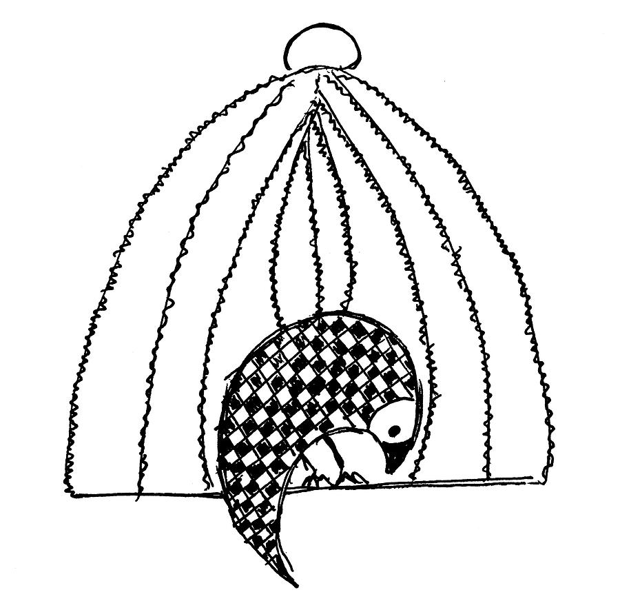 900x888 little bird in cage drawing - Bird In A Cage Drawing