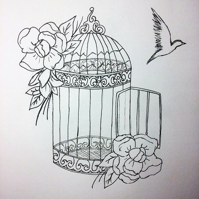 640x640 Day - Bird In A Cage Drawing
