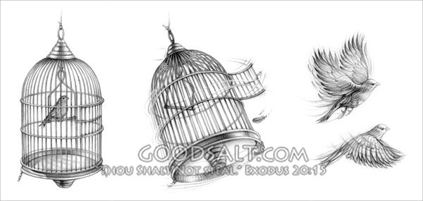 600x285 two birds in a cage escape - Bird In A Cage Drawing