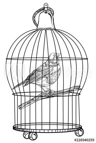 337x500 bird in the cage vector illustration isolated on white background - Bird In A Cage Drawing