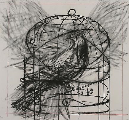 435x405 Birds In Cages And A Happy Star Katherine Catmull - Bird In A Cage Drawing