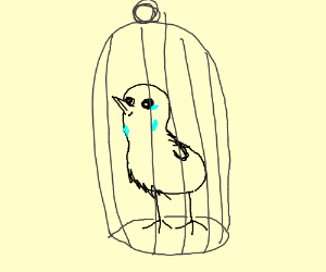 300x250 kiwi bird locked up in cage drawing - Bird In A Cage Drawing