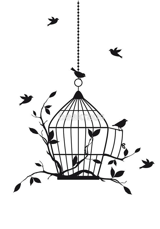 560x800 Bird - Bird In A Cage Drawing