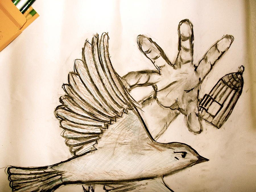 900x675 bird and the cage drawing - Bird In A Cage Drawing