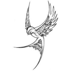 236x236 Birds Flying In The Sky Drawing Gallery Art Inspiration - Bird In Flight Drawing