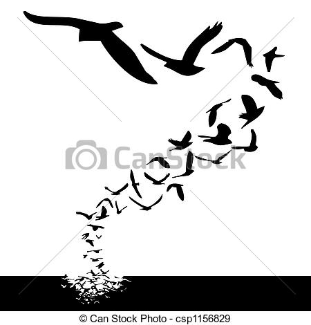 450x470 huge collection of 'birds in flight drawing' download more than - Bird In Flight Drawing