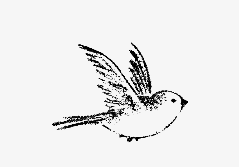 820x574 Small Birds Flying Drawing Png Image Transparent Png Free - Bird In Flight Drawing