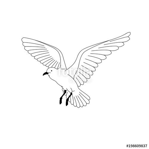 500x500 Bird Flying Illustration Vector Hand Drawing Line Art Of Animal - Bird In Flight Drawing