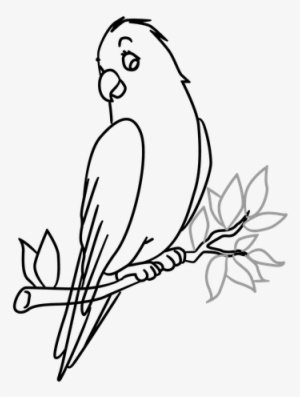 300x397 Tree Drawing Png, Transparent Tree Drawing Png Image Free Download - Bird In Tree Drawing