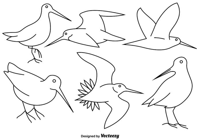 700x490 Vector Snipe Bird Line Icons - Bird Line Drawing