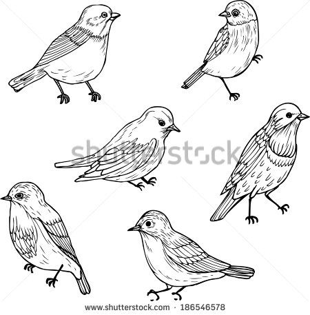 450x457 Bird Line Drawing Set Of Line Drawings Of Birds Embroidery - Bird Line Drawing