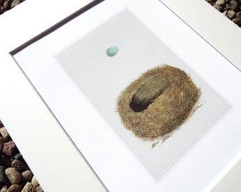 340x270 Bird Nest Drawing Etsy - Bird Nest Drawing