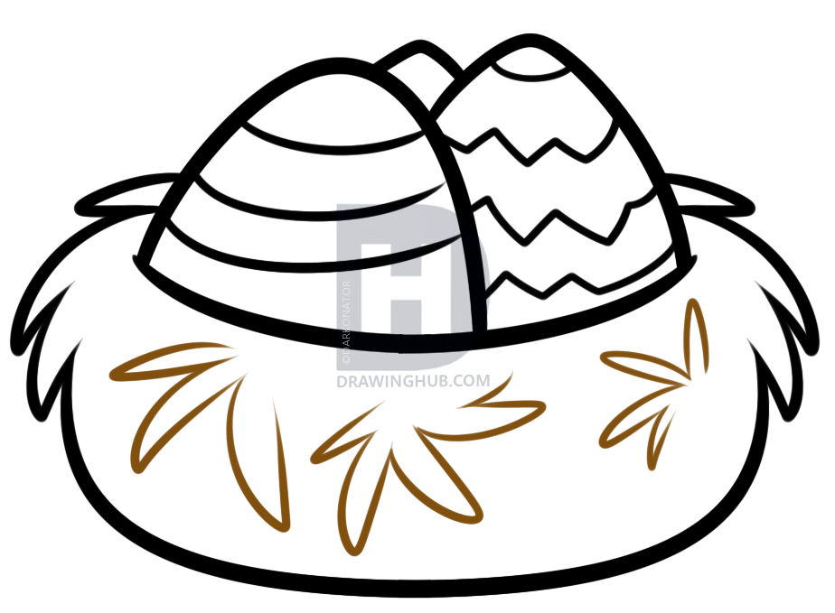 924x679 How To Draw A Bird Nest, Step - Bird Nest Drawing