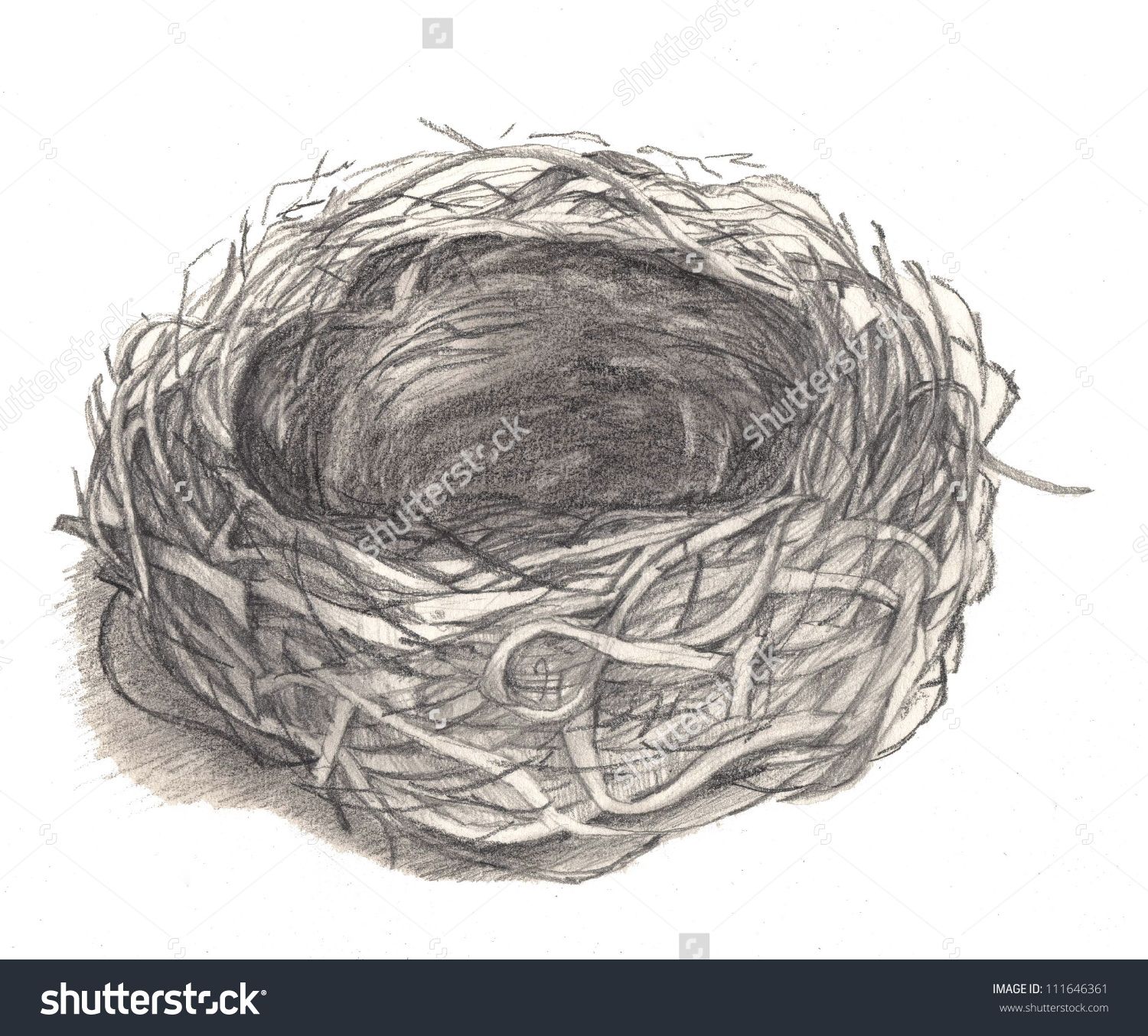 1500x1354 Bird's Nest Drawing Stock Photo Shutterstock Art - Bird Nest Drawing