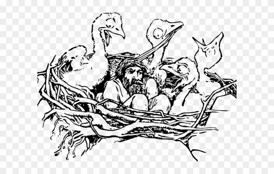 880x560 Nest Clipart Sketch Bird - Bird Nest Drawing