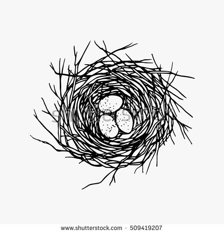 450x470 Nest Drawing Png Transparent Nest Drawing Images - Bird Nest Drawing