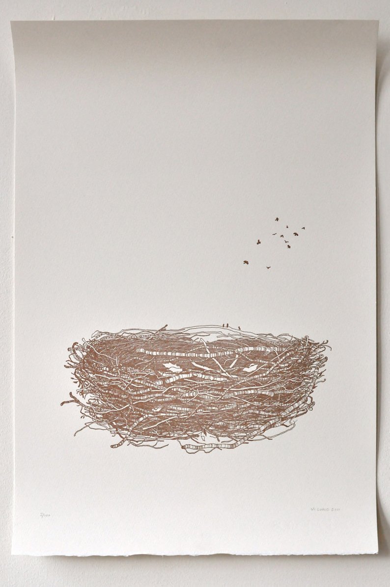 794x1196 Bird's Nest Drawing Limited Edition Letterpress Print Of Etsy - Bird Nest Drawing