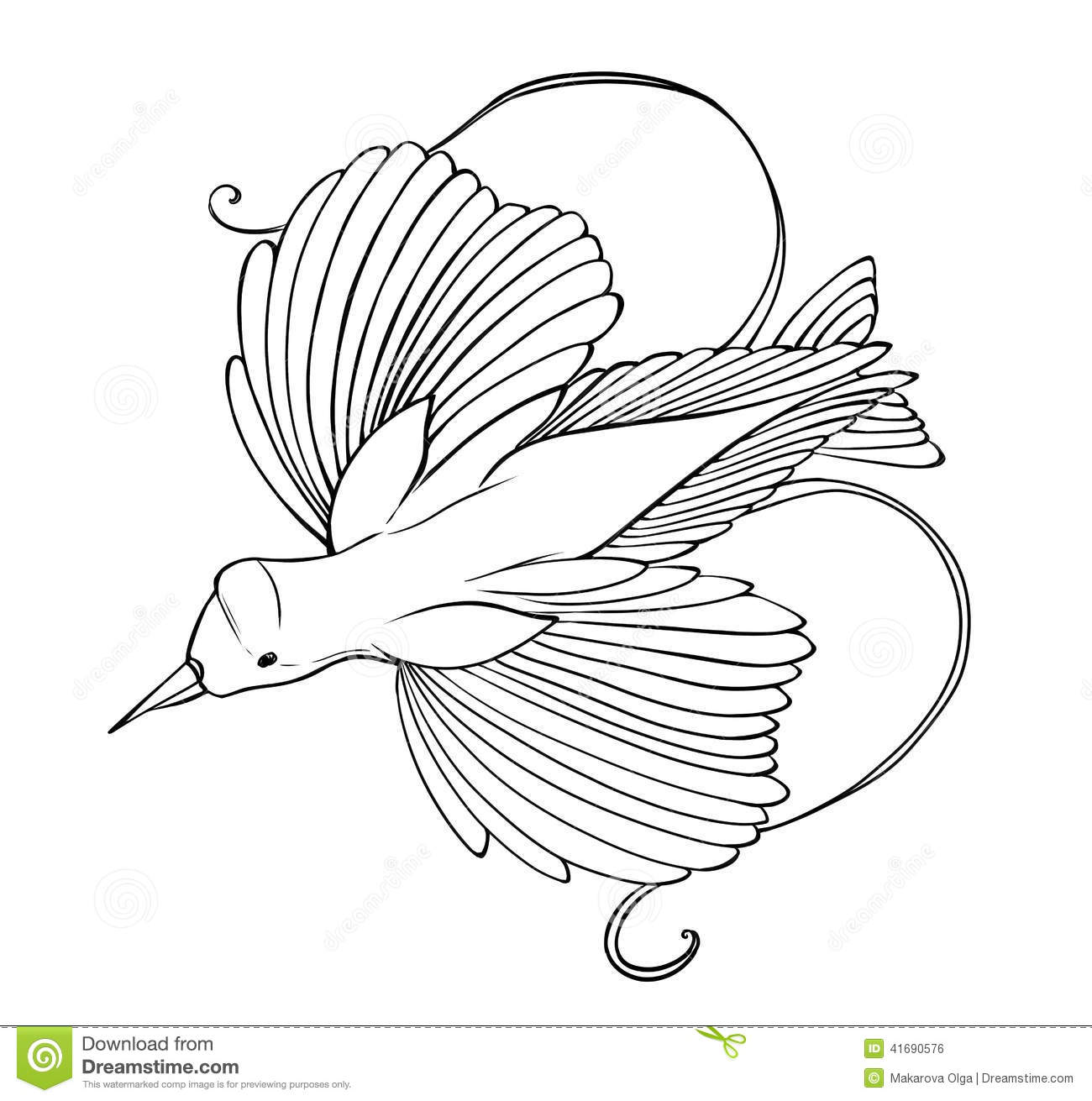 1300x1311 paradise drawing raggiana bird for free download - Bird Of Paradise Drawing