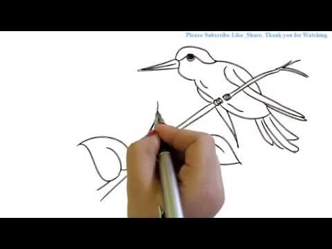 480x360 how to draw a bird sitting on a branch yzarts yzarts - Bird On Branch Drawing