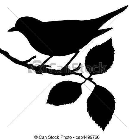 450x470 Silhouette Of The Bird On Branch - Bird On Branch Drawing