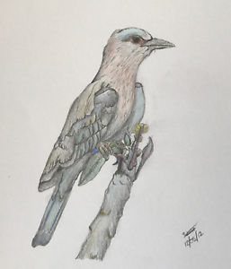 257x300 Bird On Treeranch Drawing Original Artwork - Bird On Branch Drawing