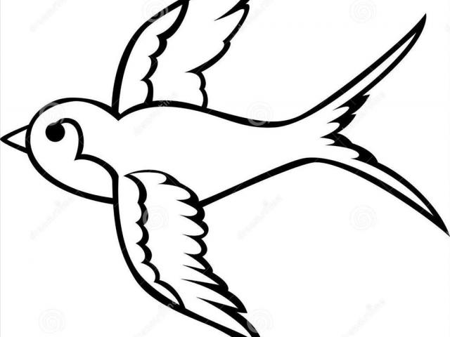 640x480 Bird Outline Drawing - Bird Outline Drawing