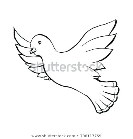 450x470 Dove Outline Drawing Dove Flying Bird In Sketch Style Outline - Bird Outline Drawing