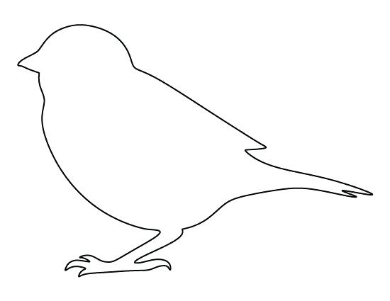Bird Outline Drawing at PaintingValley.com | Explore collection of Bird ...